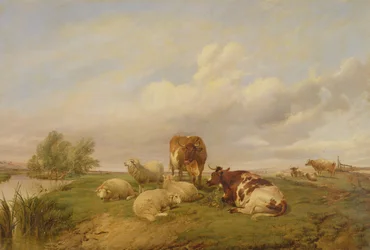 Op Canterbury Meadows